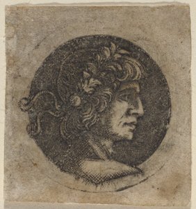 ローマ皇帝の頭 作： Circle of Francesco Francia