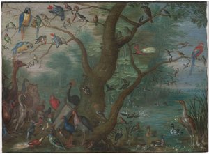 鳥のコンサート 作： Circle of Jan van Kessel the Elder