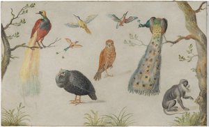 鳥と猿の研究 作： Circle of Jan van Kessel the Elder