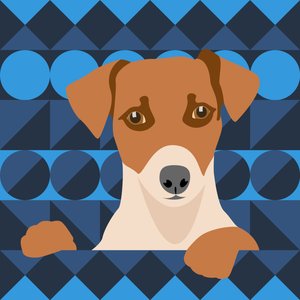アステカ犬