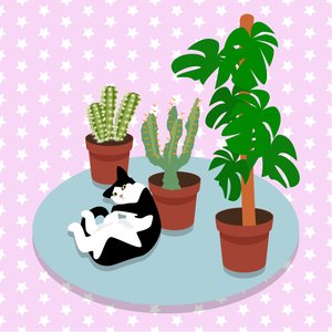 猫とサボテン