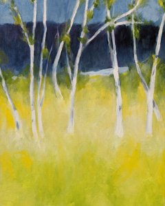  作： Claire Whitehead