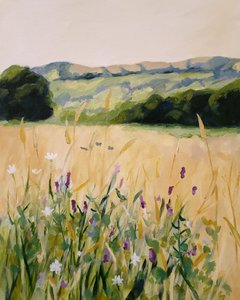  作： Claire Whitehead