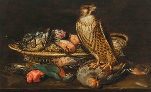 クララ・ピーターズ ペレグリン・ファルコンと鳥の静物画