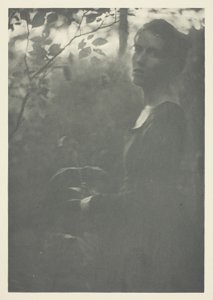 ウッズの端 作： Clarence H. White