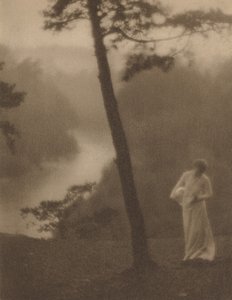朝