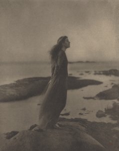 ローズ パスター ストークス 作： Clarence H. White