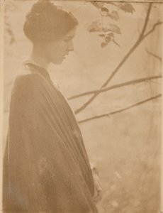 日光 作： Clarence H. White
