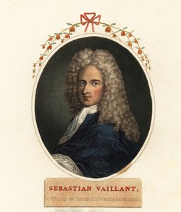 フランスの植物学者、セバスチャン・ヴァイヤンの肖像 作： Claude Aubriet