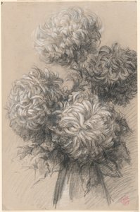 菊 作： Claude Emile Schuffenecker