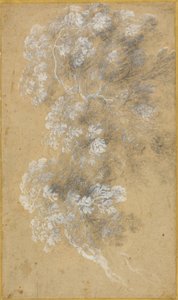 葉と枝のスケッチ 作： Claude Lorrain