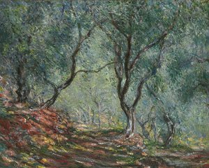 モレノ庭園のオリーブの木、1884年 作： Claude Monet