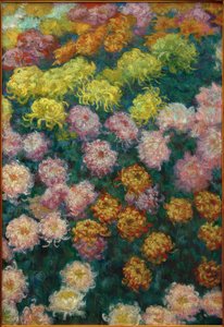 Chrysanthemenbeet、1897 作： Claude Monet