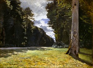 フォンテーヌブローの森のパヴェ・ド・シャイイ 森を通るシャイイの道…、1865年。