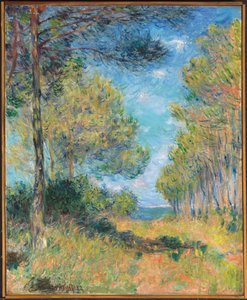 Varengevilleの松の木の道。 Allee de sapins Varengeville、1882 作： Claude Monet
