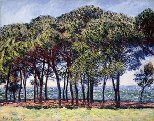 パインズ、キャップダンティーブ、1888 作： Claude Monet