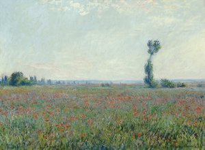 ケシ畑、1881 作： Claude Monet
