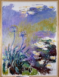 アガパンサス 作： Claude Monet