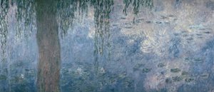 スイレン：しだれ柳の朝、1914-18（右のセクション） 作： Claude Monet