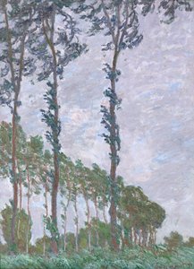 風の影響、ポプラのシリーズ、1891 作： Claude Monet
