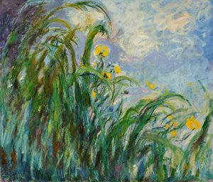 黄色いアイリス、c。 1925年。 作： Claude Monet
