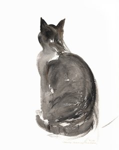 猫、1985（水彩） 作： Claudia Hutchins Puechavy