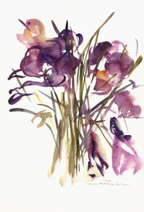 クロッカス、2003（水彩） 作： Claudia Hutchins Puechavy