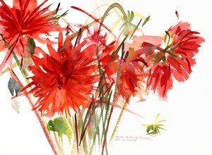 ダリア、2002（水彩） 作： Claudia Hutchins Puechavy