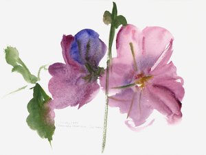 Hollyhocks、1988（水彩） 作： Claudia Hutchins Puechavy