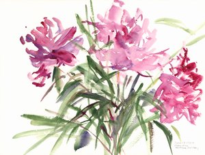 牡丹、2004（水彩） 作： Claudia Hutchins Puechavy