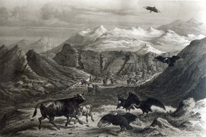 F.Lehnertによって刻まれた「ヒストリアデチリ」からのコンドルズに襲われた子牛、1834年の写真）