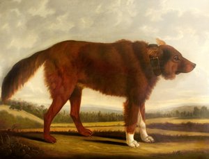 ロードバイロンズドッグリヨン（狼犬）、1808 作： Clifton Tomson