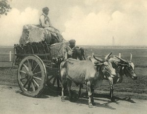 「牛車」。