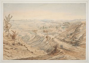 油井: Ye-an-nan-gyoung、水彩画 No.18、「1855 年にファーレ少佐がアヴァ裁判所に派遣された際に撮影されたビルマの一連のビュー」より 作： Colesworthy Grant