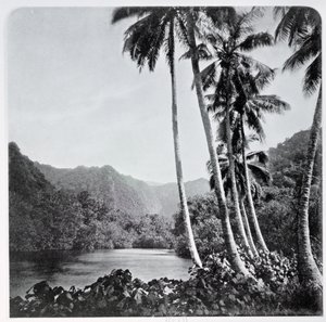 1882年にロンドンで出版された「タヒチ」のヒティア湖 作： Colonel Stuart Wortley