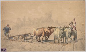 プラウを引っ張る4つの牛、1853年。