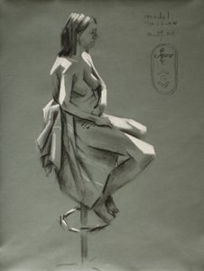  作： Corné Akkers