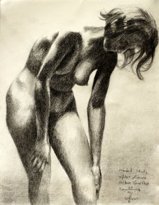  作： Corné Akkers
