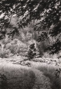  作： 