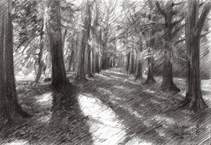  作： 