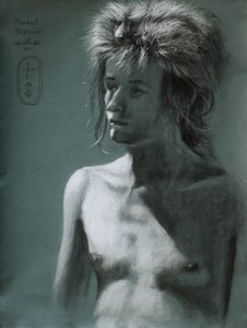 『ワイルド・ヘア・シャドウ・ポートレート』