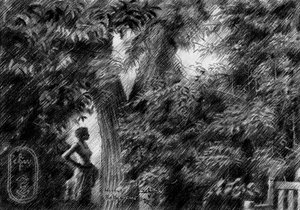  作： Corné Akkers