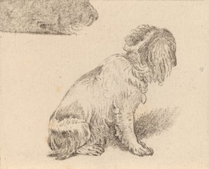 座っている犬、1777年。 作： Cornelis Brouwer