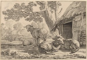 Sheepcote、1781 年、1787 年出版。 作： Cornelis Brouwer