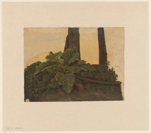 木の幹の根元に植える 作： Cornelis Johannes de Vogel