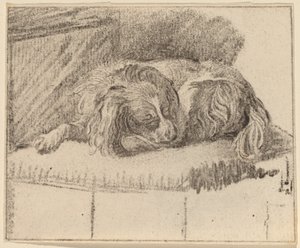 横たわっている犬 作： Cornelis Ploos van Amstel