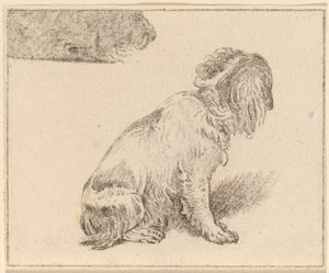 座っている犬