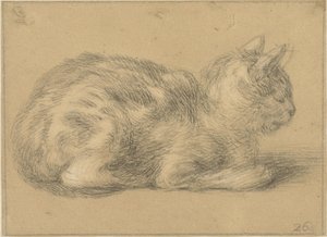 座っている猫、右へ 作： Cornelis Saftleven (possibly)