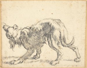 犬 作： Cornelis Saftleven