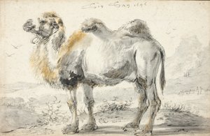 ラクダ 作： Cornelis Saftleven